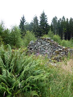 Sallochy ruïnes bij Loch Lomond